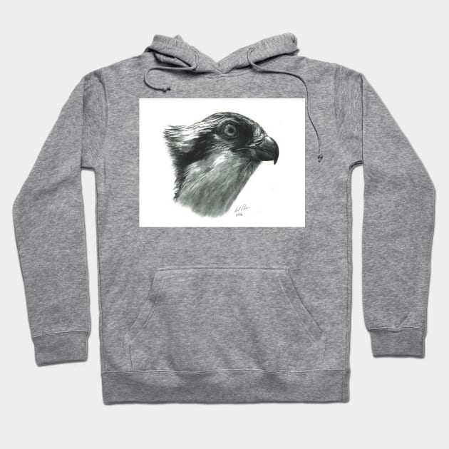 Osprey - bird of prey - fish hawk - bird lover Hoodie by allthumbs